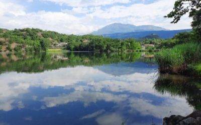 Visite Naturalistiche guidate al Lago San Michele di Ivrea